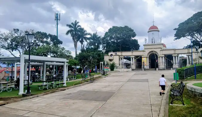 Quiet street with historic buildings and palm trees