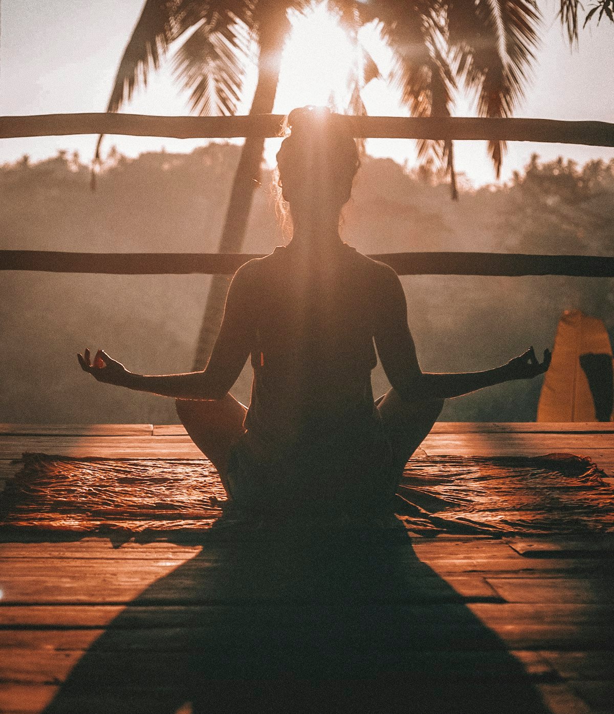 Aging Well in the Tropics: Best Practices for Longevity and Wellness