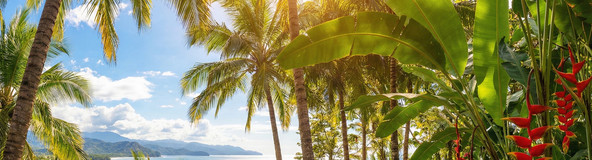 Lush Costa Rica tropical jungle with palm trees, heliconia flowers, and ocean view โ retire in paradise